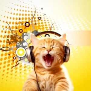 Meet your Posher, Gabrielle